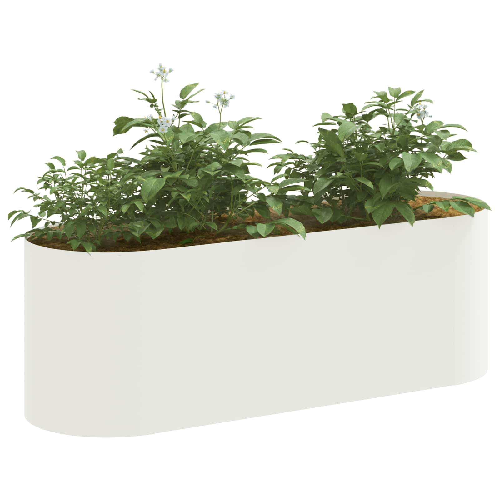 vidaXL Raised Garden Bed White 120 x 40x 40 cm 3