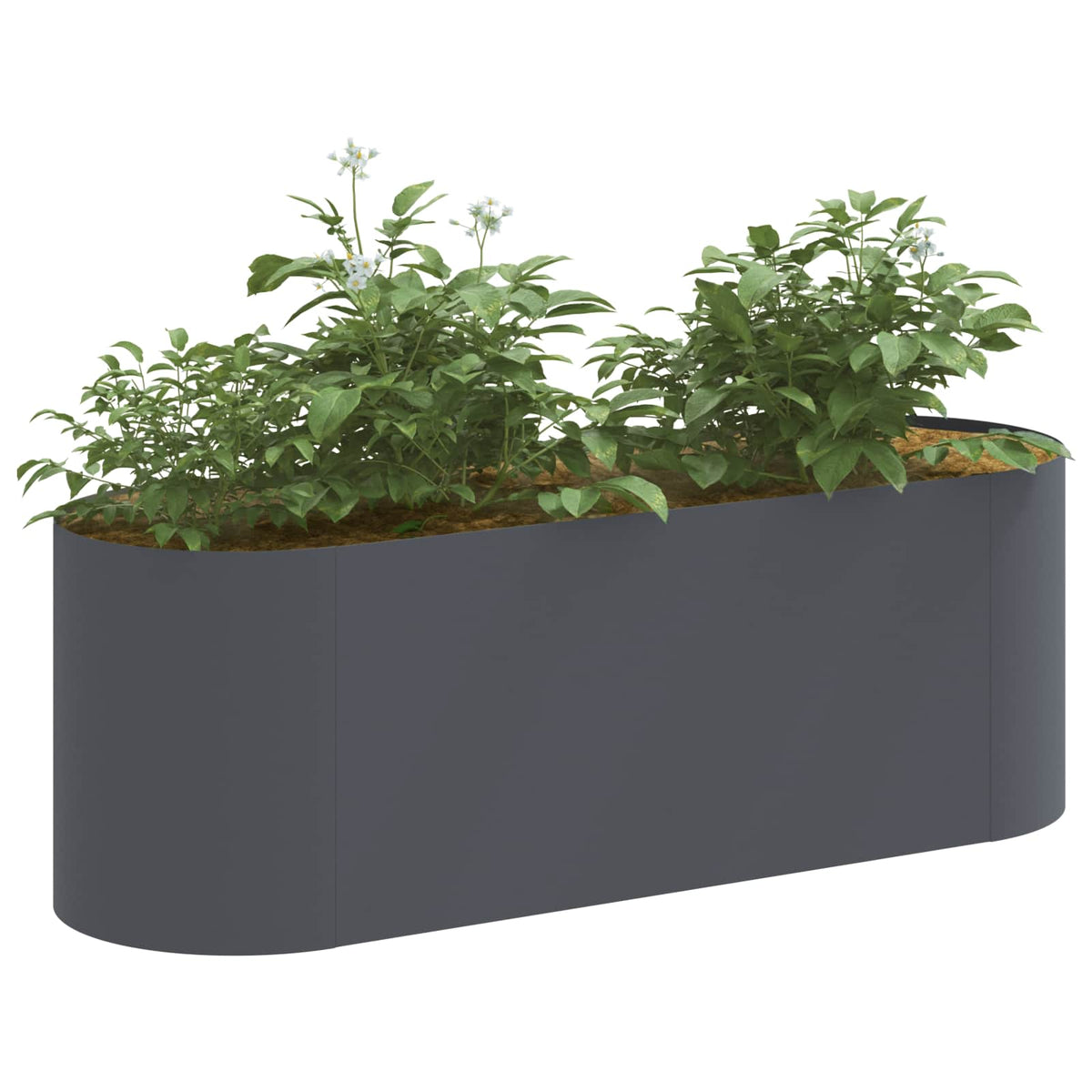 Raised Garden Bed 120 x 40x 40 cm Length 120 cm Anthracite