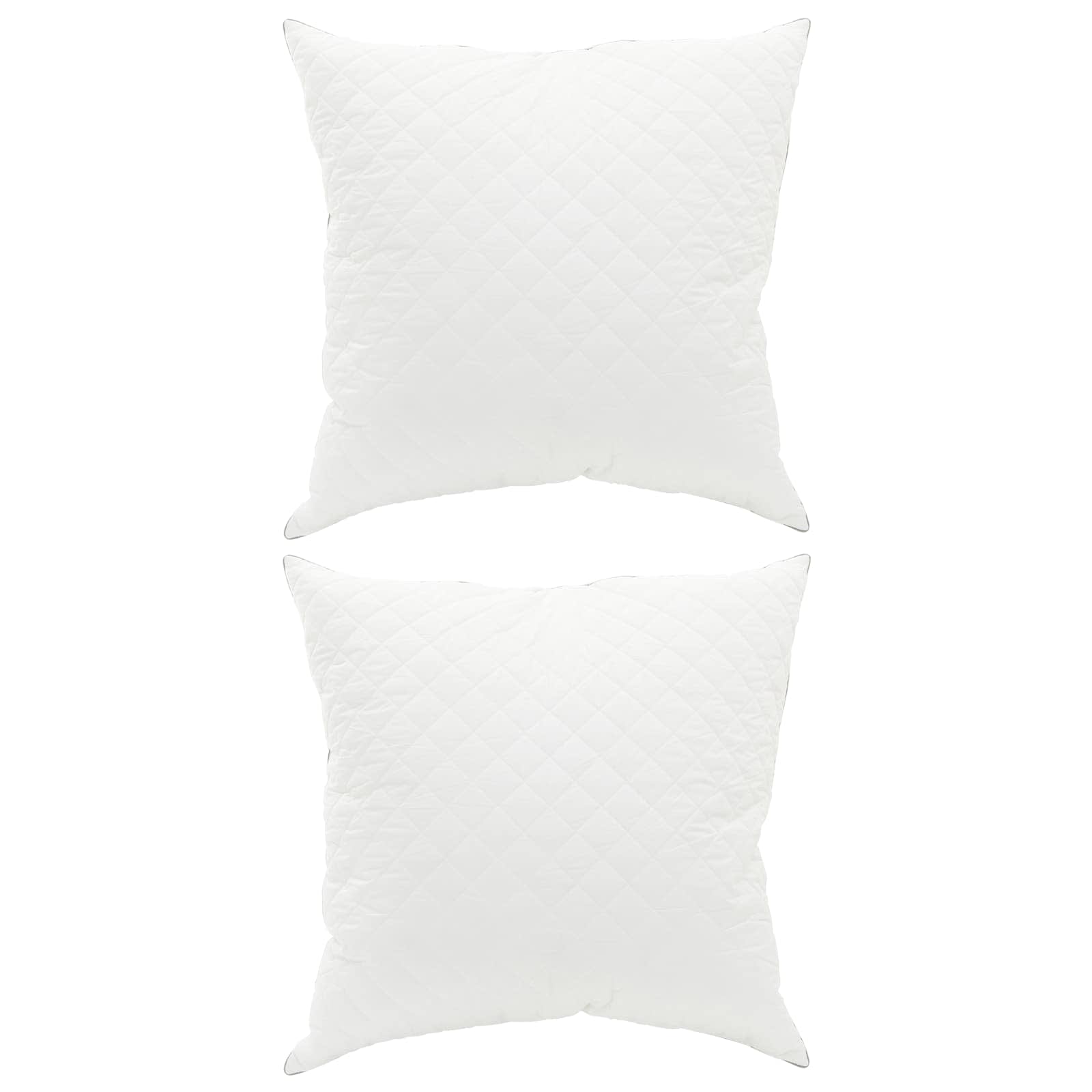 vidaXL Pillow FULDA 2 pcs 60 x 60 cm 100% Goose Down & Feather White 2