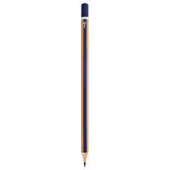 vidaXL HB Pencils Ø 0.7 x 18 cm Blue and Yellow Solid Poplar Wood 4