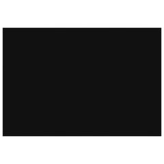 vidaXL Awning Replacement Fabric Black 300 x 250 cm Polyester 3