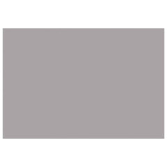 vidaXL Awning Replacement Fabric Light Grey 300 x 250 cm Polyester 3