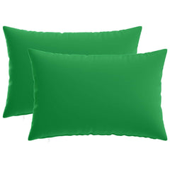 vidaXL Throw Pillow 2 pcs HEERLEN Green 50 x 75 cm Polyester 2