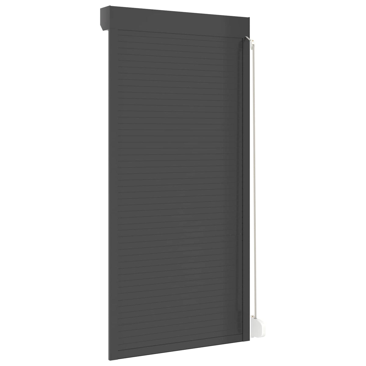 Roller Shutter Manual Anthracite 100 cm 210 cm