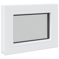 Cellar Window Internal Colour White RISOR with Double Glazing Width 35 cm 30 cm