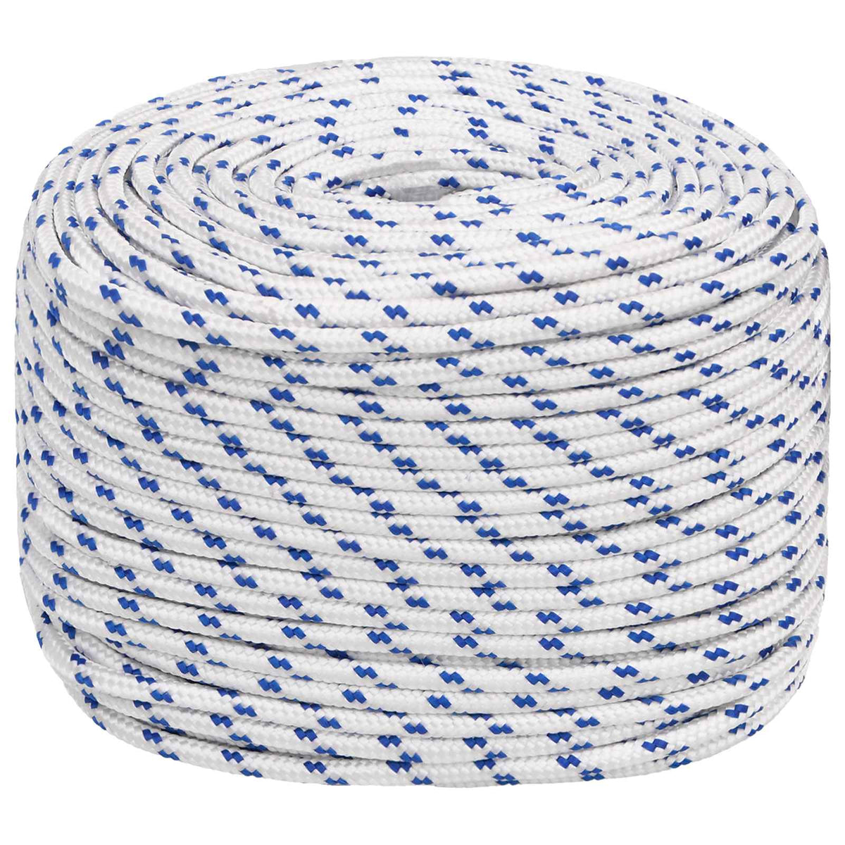 vidaXL Multipurpose Utility Rope 10 mm 100 m White and Blue PP 2