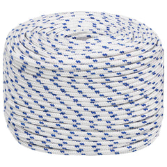 vidaXL Multipurpose Utility Rope 10 mm 100 m White and Blue PP 2