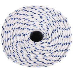 vidaXL Multipurpose Utility Rope 10 mm 100 m White and Blue PP 3