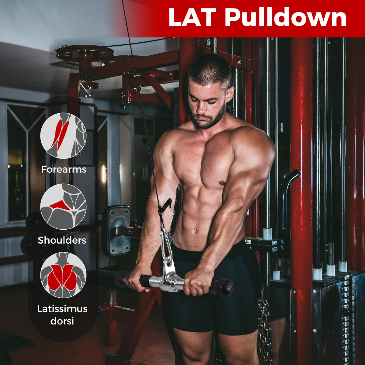 Cable Machine Attachment Set LAT Pulldown Attachments
