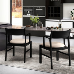 Dining Chair with Arms Set of 2 with Contoured Backrest and Padded Seat and Rubber Wood Legs- Black & Cream