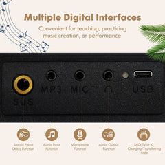Multiple digital interfaces on the back of the electronic keyboard, including USB and MIDI