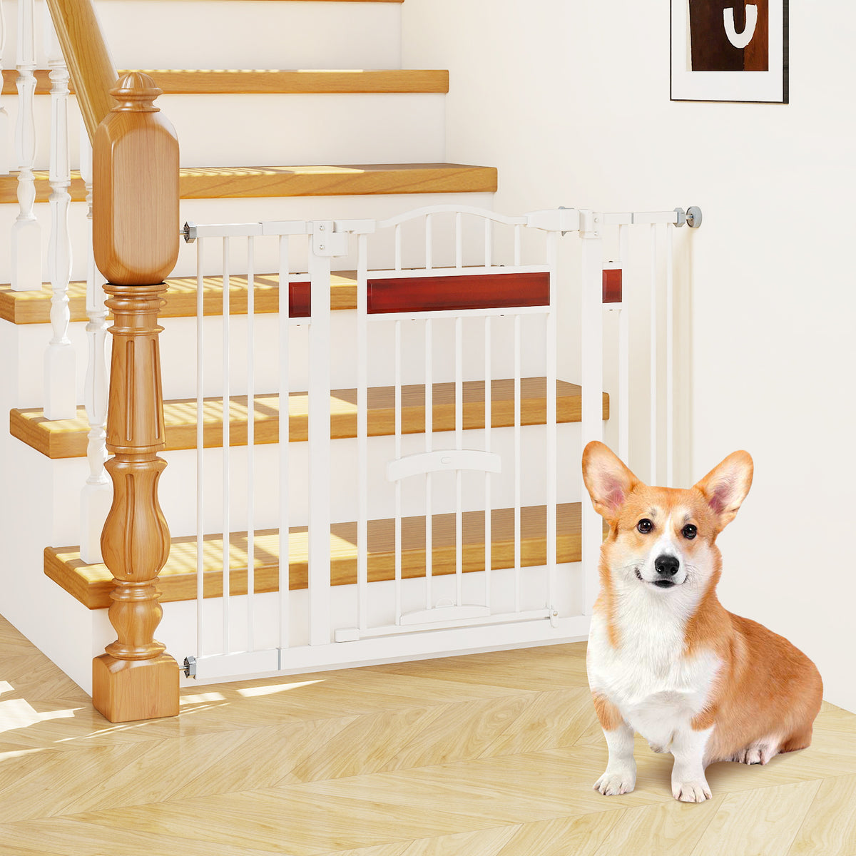 Extra Wide Walk Through Pet Gate with Small Door and 2 Extensions-White