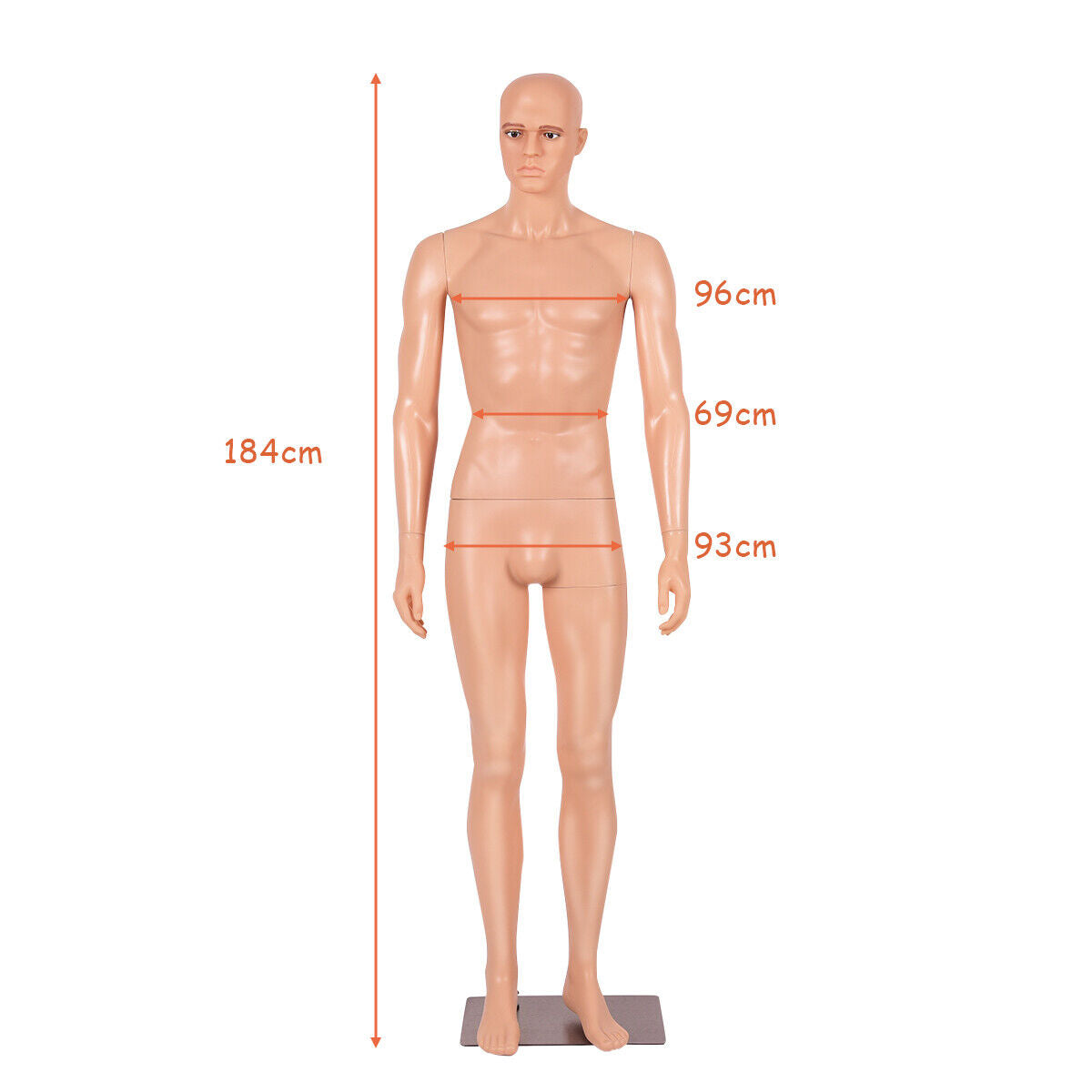184cm Male Mannequin Full Body Manikin with Metal Base