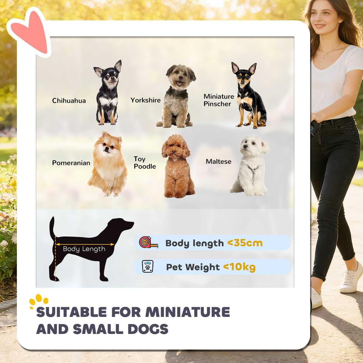 PawHut 3 Wheel Pet Stroller for Small and Miniature Dogs, Black