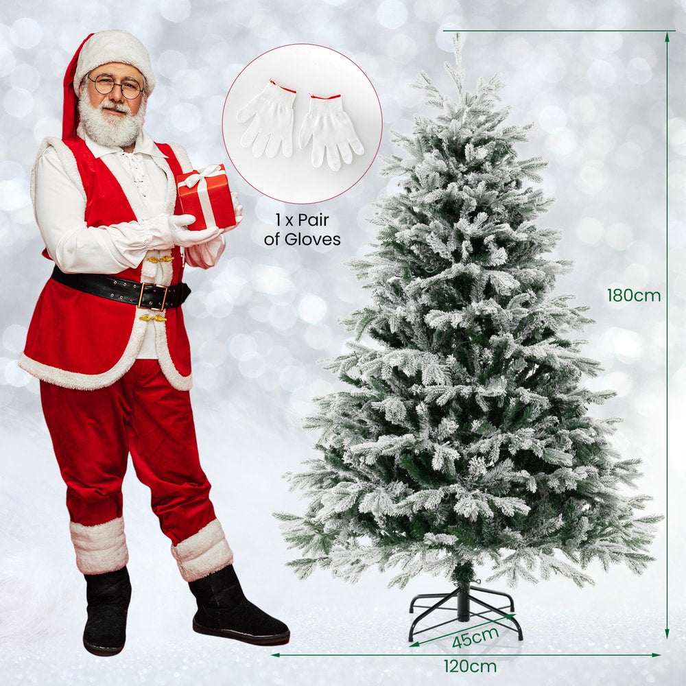 The christmas tree next to a person dressed as santa claus to show scale