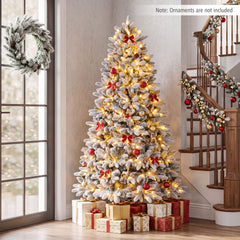Realistic Balsam Fir, image 3