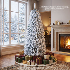 Realistic Collapsible Spruce Tree, image 6