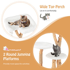 Solid Wood Cat Tree with Perch and Dangling Ball-White