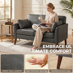 HOMCOM 2 Seater Sofa, 132 cm Modern Small Sofa with Solid Wood Legs and 2 Pillows for Small Space, Grey