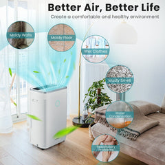 25L/Day Dehumidifier with 6.5L Water Tank and 24H Timer for Home Basement-25L