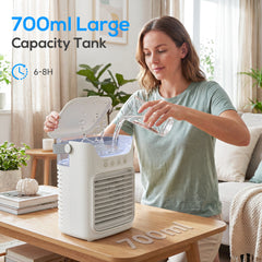 HOMCOM Air Cooler with Adjustable Head, Portable Air Conditioner with 3 Wind Speed, 2 Cool Mist, RGB Light, Grey