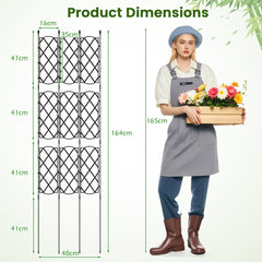 Outdoor Plant Support Frame with Adjustable Shapes and Ground Stakes