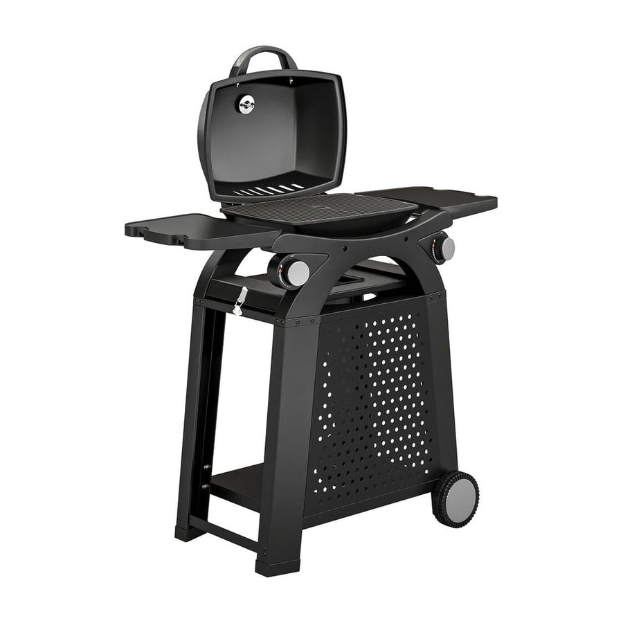 Outsunny 2 Burner Gas Grill with 2 Side Tables standing on a white background