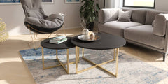 Pula Coffee Table product image