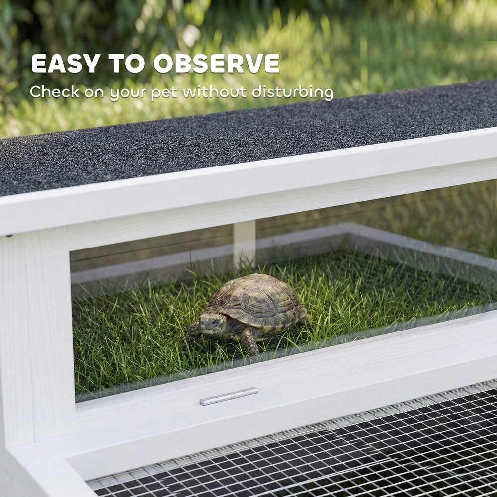 The tortoise house with a clear observation window showing a tortoise inside
