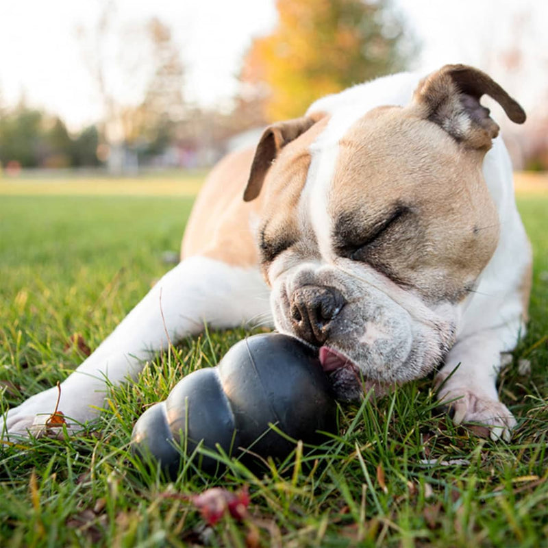 Kong Dog Toy Extreme Black XXL