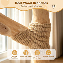 105 CM Tall Modern Cat Tower with Real Wood Branches and Scratching Posts for Cats-Grey