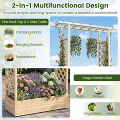 114cm Tall Wooden Raised Garden Bed with Side Trellis and Hanging Roof-Natural