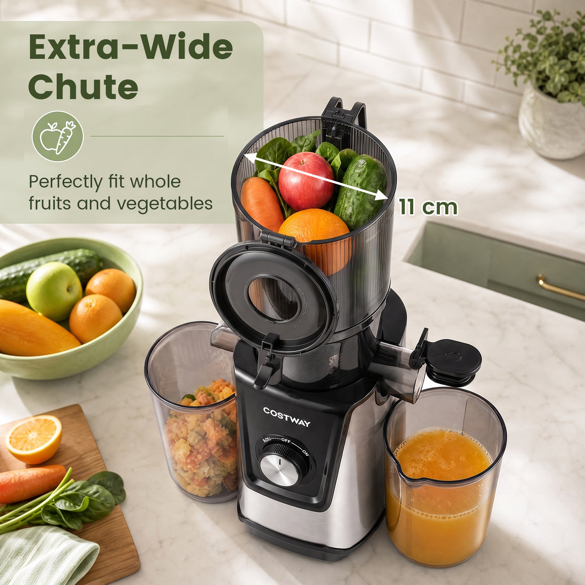 160W Cold Press Juicer w/ Dual Outlets & Wide Chute for Whole Fruits Vegetables-Black