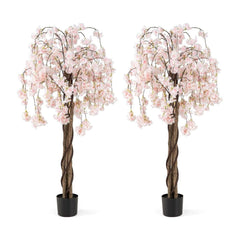 163CM Tall Artificial Cherry Blossom Tree with Flowers Set of 2-White, showing two trees