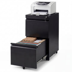 2-Drawer Mobile File Cabinet with 5 Casters and 2 Keys for A4-Black