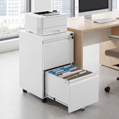 2-Drawer Mobile File Cabinet with 5 Casters and 2 Keys for A4-White