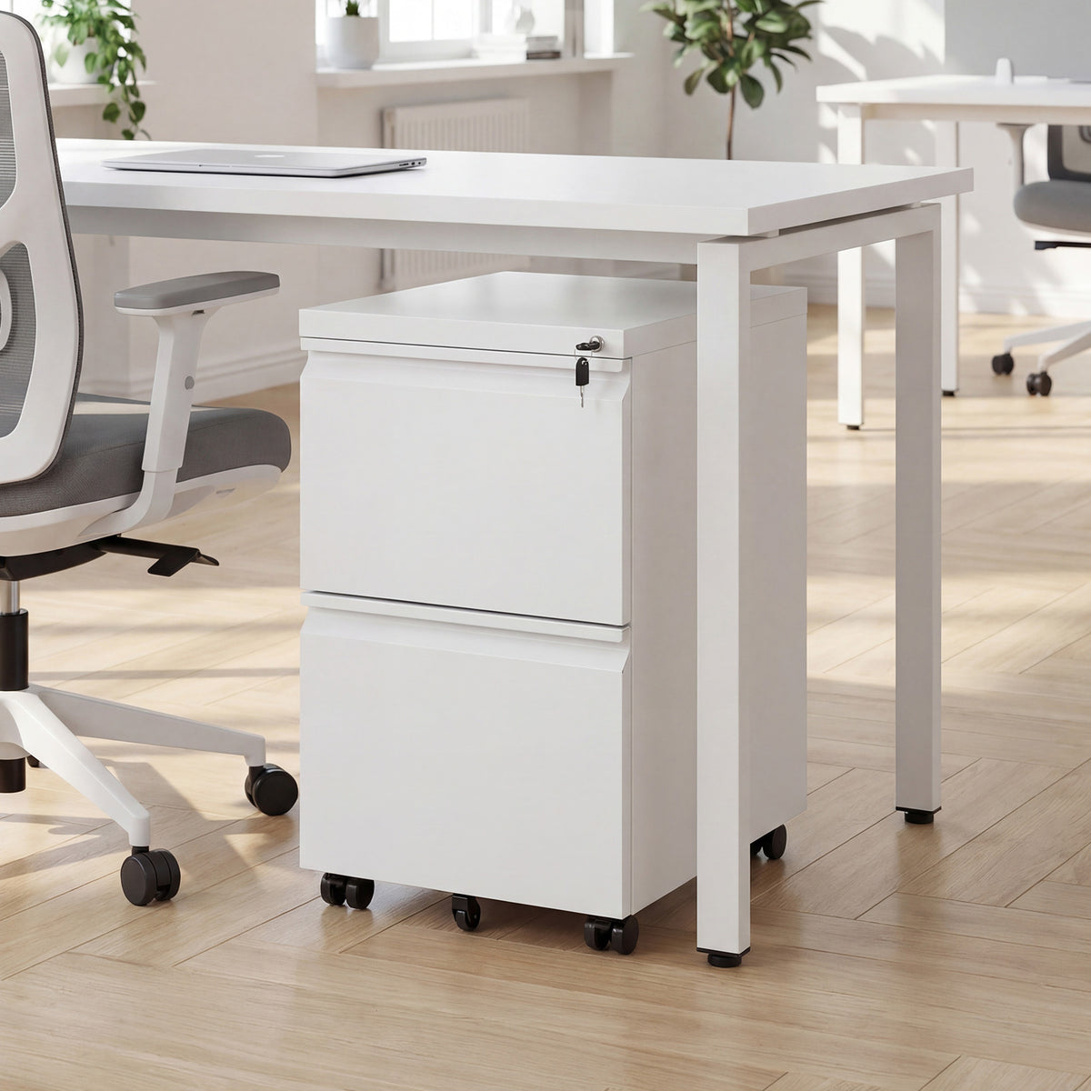 2-Drawer Mobile File Cabinet with 5 Casters and 2 Keys for A4-White