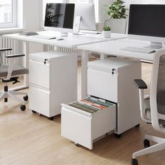 2-Drawer Mobile File Cabinet with 5 Casters and 2 Keys for A4-White