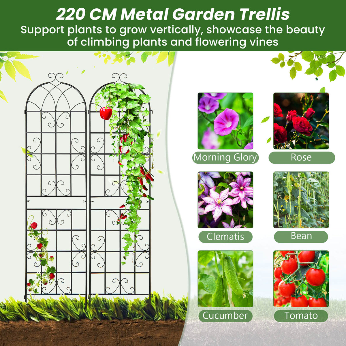 2 Pack 220 x 50 cm Metal Garden Trellis for Climbing Plants-Black