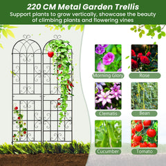 2 Pack 220 x 50 cm Metal Garden Trellis for Climbing Plants-Black