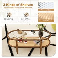 2-Tier PE Rattan Coffee Table with Storage-Brown