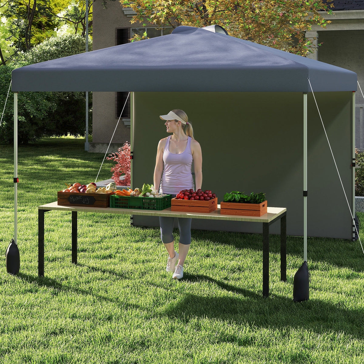 3 x 3 m Pop up Canopy Tent with 1 Sidewall Wheeled Bag-Grey