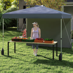 3 x 3 m Pop up Canopy Tent with 1 Sidewall Wheeled Bag-Grey