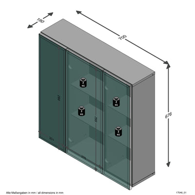 FMD Mirrored Bathroom Cabinet 70x19x67.6 cm White