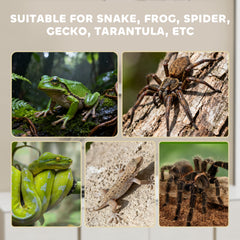 PawHut Acrylic Reptile Terrarium with Top Sliding Door, Vents, for Snake, Frog, Spider, Gecko, Tarantula, 30 x 20 x 15 cm