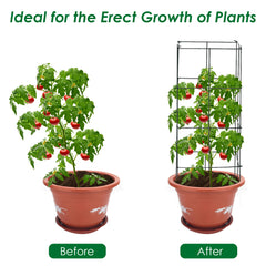 4 Pack Tomato Cage Assembled Plant Support Stakes for Vertical Climbing Plants