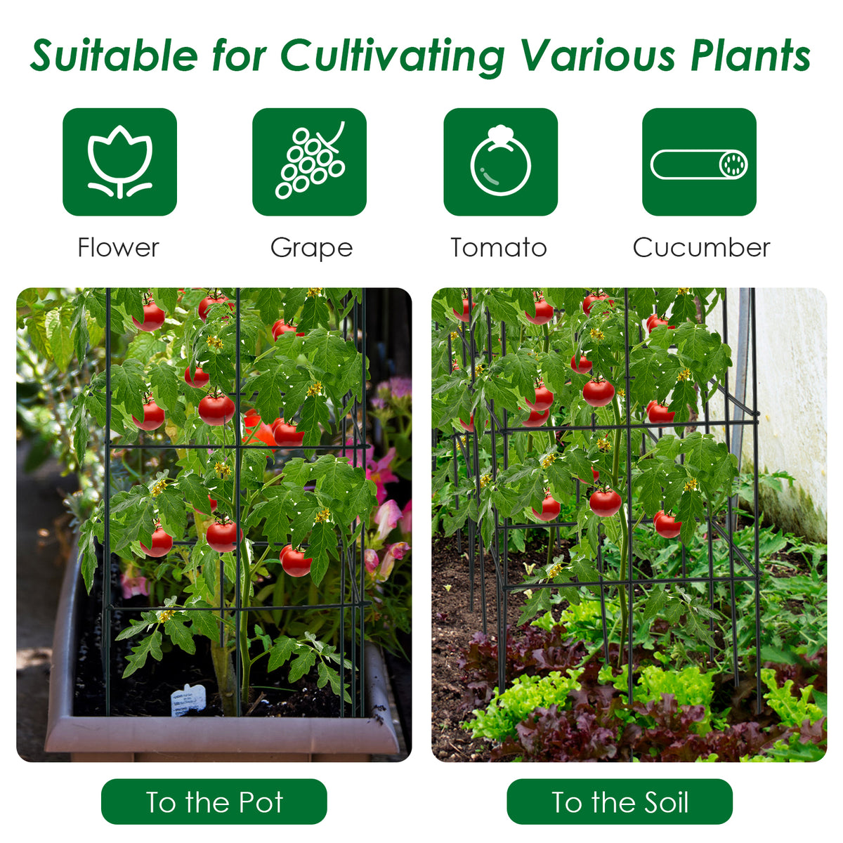 4 Pack Tomato Cage Assembled Plant Support Stakes for Vertical Climbing Plants