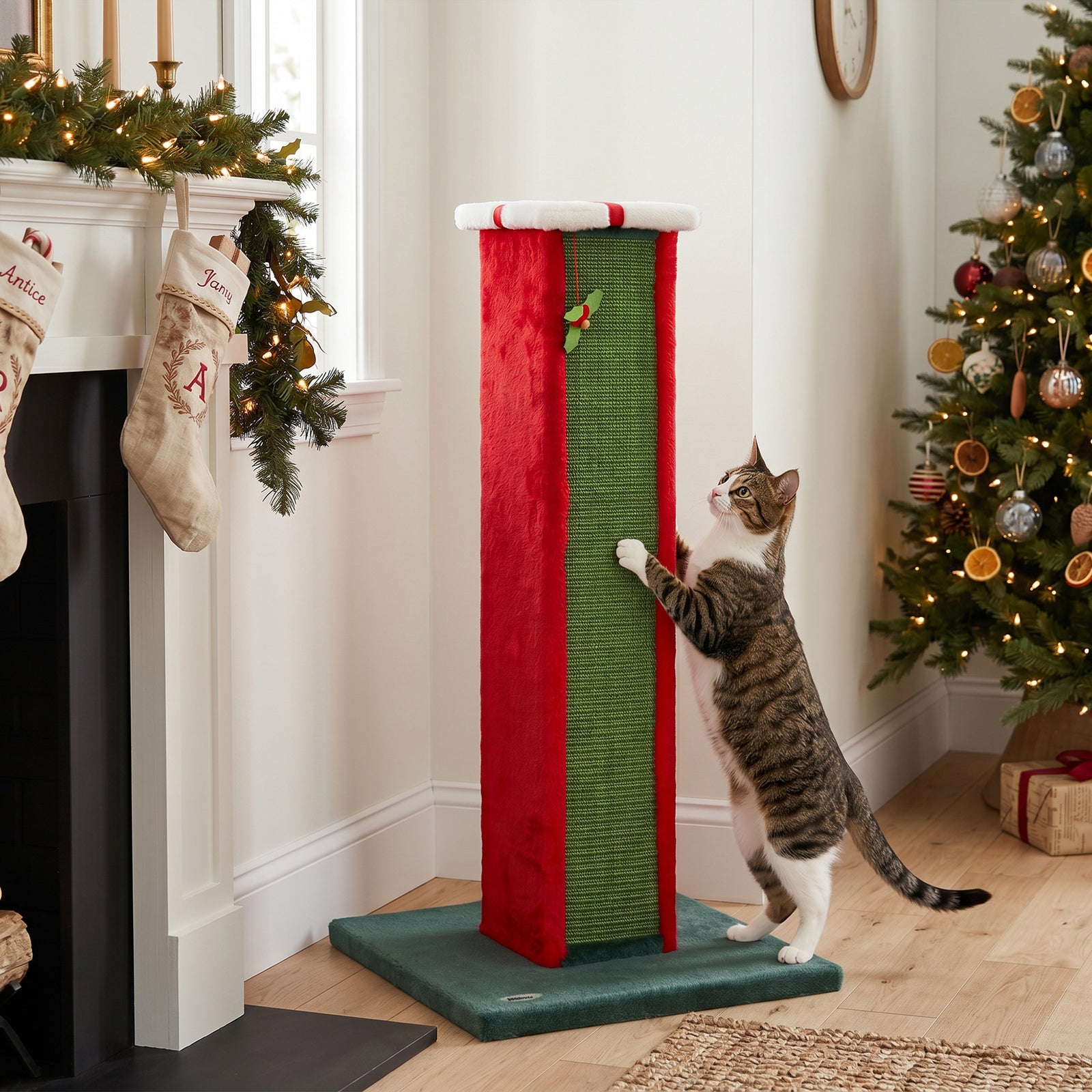PawHut Cat Scratching Post for Indoor Cats, 81cm Tall Cat Scratcher with Sisal Rope, Hanging Bell Toy, Stable Base, Green & Red