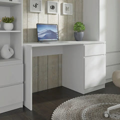 The desk positioned in a room with a laptop and a small plant on the desktop