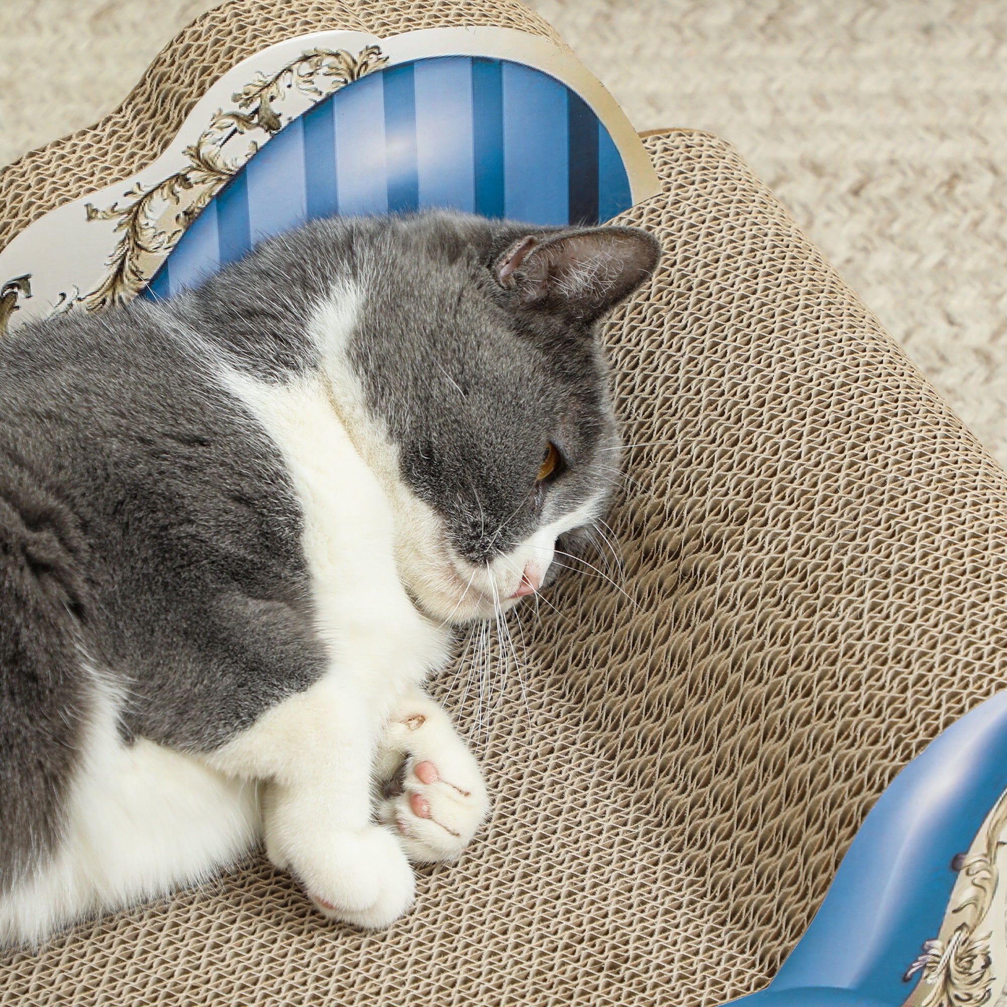 PawHut 2-in-1 Cat Scratching Board with Catnip for Indoor Cats, 26.5 x 57 x 26.5cm, Blue